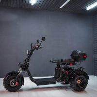 Электробайк_электро скутер_электро мотоцикл_citycoco_трицикл_трайк_WS-PRO TRIKE 2000W_1