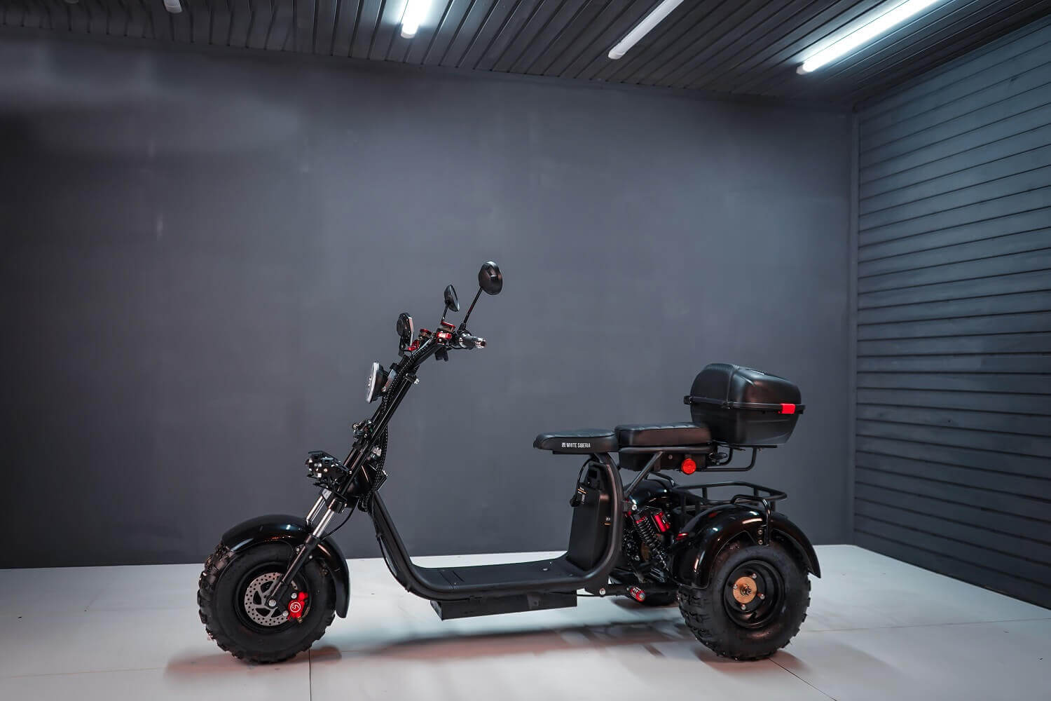 Ситикоко трицикл. Электроскутер WS-Pro Trike citicoco 2000w. Citycoco 2000w трехколесный. WS Pro 2500w citycoco. Citycoco WS Pro Trike 3000 w.