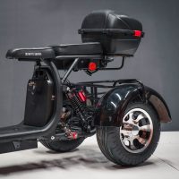 Электробайк_электро скутер_электро мотоцикл_citycoco_трицикл_трайк_WS-PRO TRIKE 2000W_10