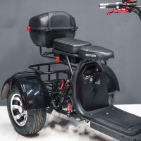 Электробайк_электро скутер_электро мотоцикл_citycoco_трицикл_трайк_WS-PRO TRIKE 2000W_14