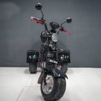 Электробайк_электро скутер_электро мотоцикл_citycoco_трицикл_трайк_WS-PRO TRIKE 2000W_15