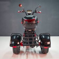 Электробайк_электро скутер_электро мотоцикл_citycoco_трицикл_трайк_WS-PRO TRIKE 2000W_16