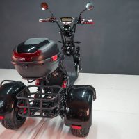 Электробайк_электро скутер_электро мотоцикл_citycoco_трицикл_трайк_WS-PRO TRIKE 2000W_19