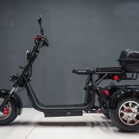 Электробайк_электро скутер_электро мотоцикл_citycoco_трицикл_трайк_WS-PRO TRIKE 2000W_6