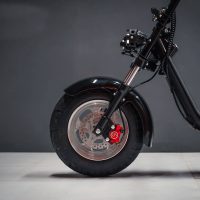 Электробайк_электро скутер_электро мотоцикл_citycoco_трицикл_трайк_WS-PRO TRIKE 2000W_7