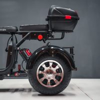 Электробайк_электро скутер_электро мотоцикл_citycoco_трицикл_трайк_WS-PRO TRIKE 2000W_8