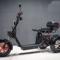 Электробайк_электро скутер_электро мотоцикл_citycoco_трицикл_трайк_WS-PRO TRIKE 2000W_9